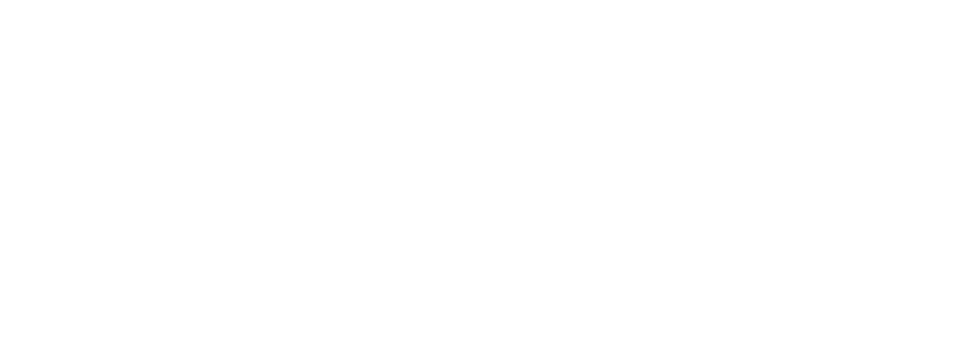 Ordine Despachante